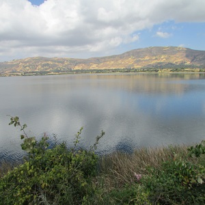 Lake Dandi